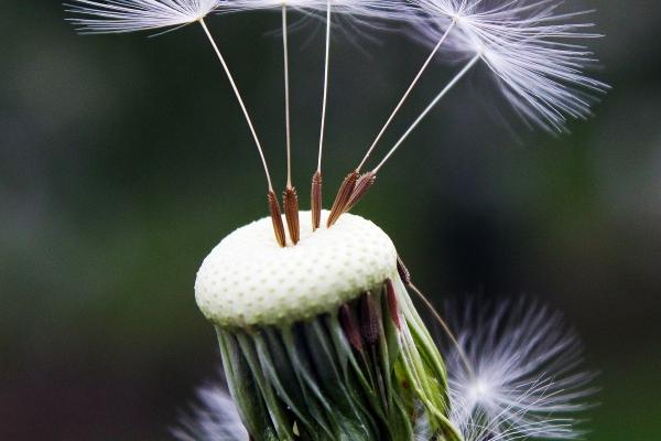 梦见海螫蜃楼是好是坏