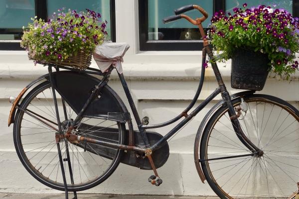 属猴的与属狗的结婚好不好 属猴的与属狗的结婚好不好