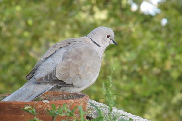 78年属马在2025以后十年大运