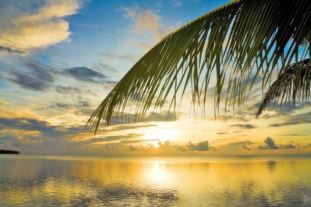 76年属龙人2025年运势女性