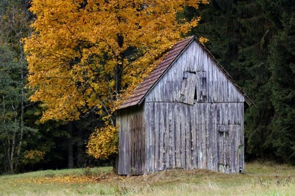 77年蛇男一生几个子女