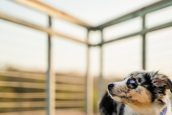 78年马未来五年逐年运势如何