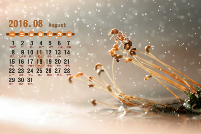 72年鼠躲不过去的大难