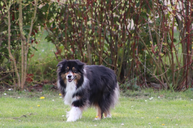 86年虎女最难熬的年龄