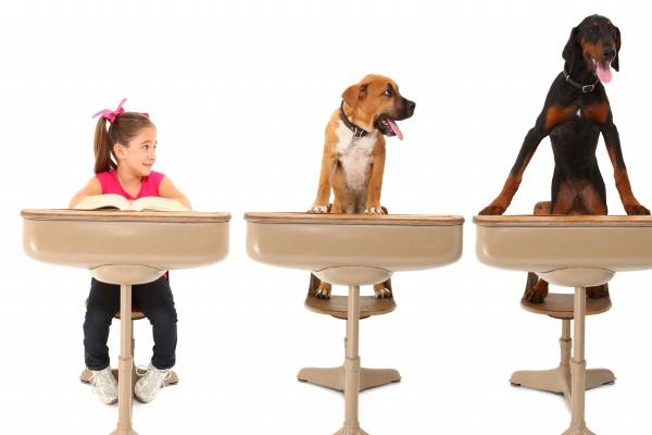 88年属龙转大运转折点