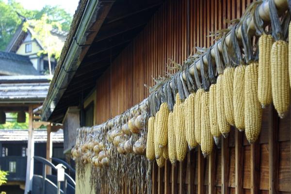 86年属虎十年大运是什么时候