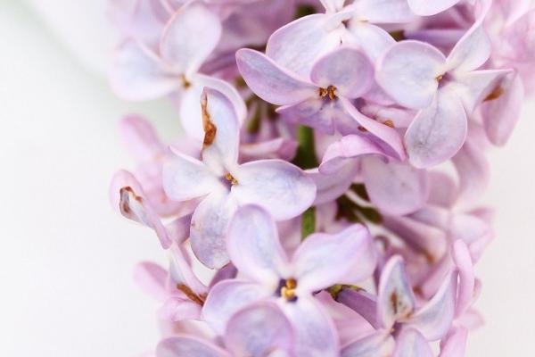 87年属兔最难熬的一年