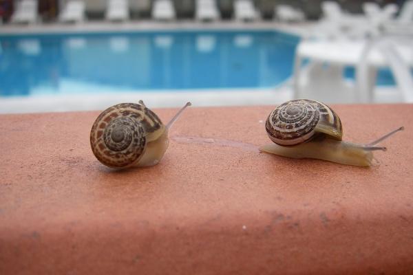 76年属龙人未来十年大运 76年属龙人未来十年大运