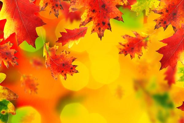 77年蛇女两个贵人是谁 77年蛇女两个贵人是谁