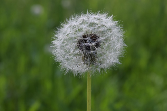 62年的虎女晚年过得好吗