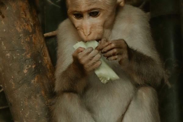 78年马女与70年狗男是正缘吗