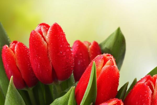 81鸡男87兔女能过一辈子吗