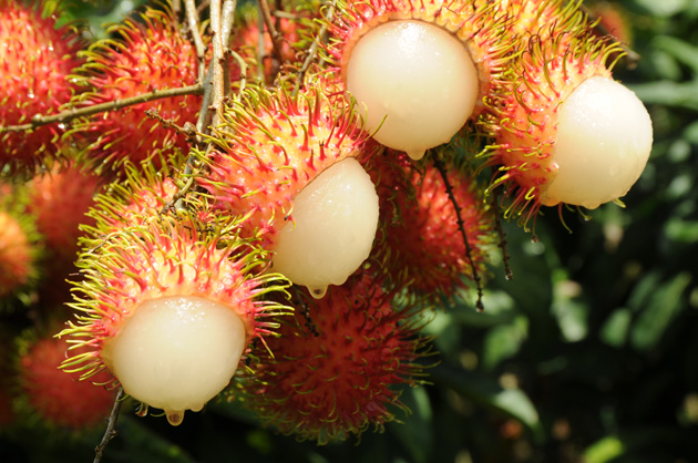 78年属马女今年每月运势怎样