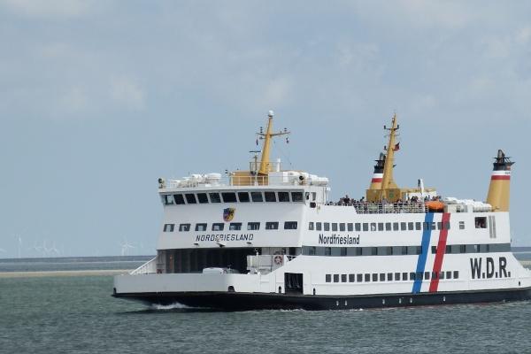 2006年属狗在2025高考顺利吗 2006年属狗在2025高考顺利吗