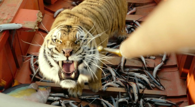 1983年属猪人2025年运势 1983年属猪人2025年运势