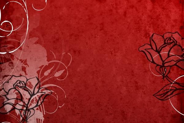 1994年属狗女2025年运势 1994年属狗女2025年运势