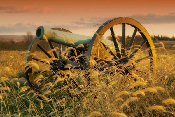 1978年女属马2025运势及运程