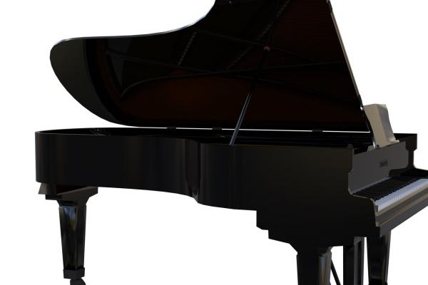 1992年属猴人2025年运势 1992年属猴人2025年运势