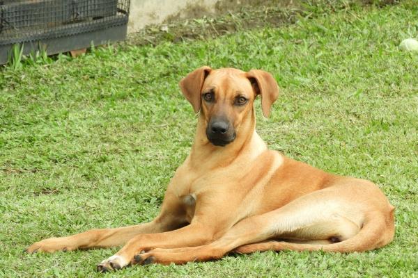 2025年97年属牛人的运势 2025年97年属牛人的运势