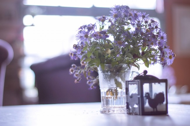 1982年狗在2025年的运气怎样 1982年狗在2025年的运气怎样