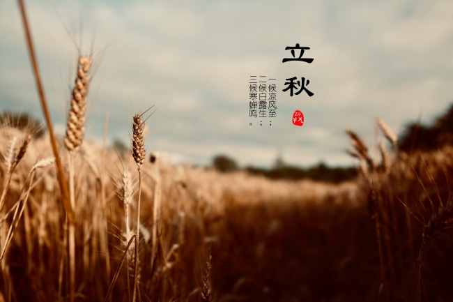 2025年生肖猴犯什么太岁