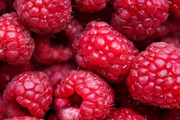 属猪2025年的五大预兆 属猪2025年的五大预兆