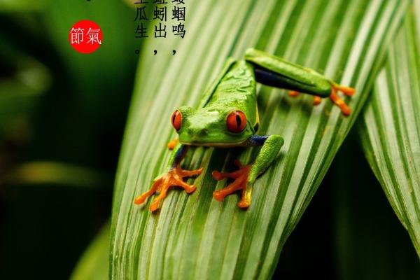 2025年5月哪一天祈福好