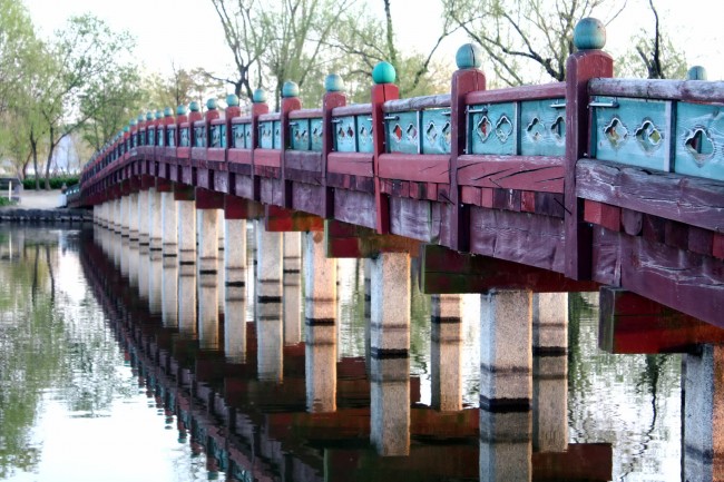 1972年属鼠女三两六晚年命苦不苦 1972年属鼠女三两六晚年命苦不苦
