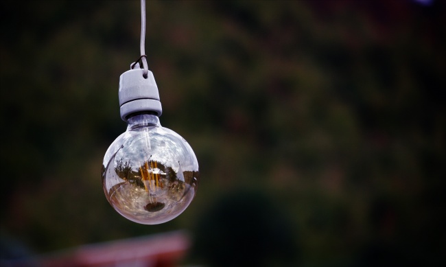 2025年属猪女财运 2025年属猪女财运