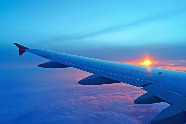 2025年生肖蛇的运势