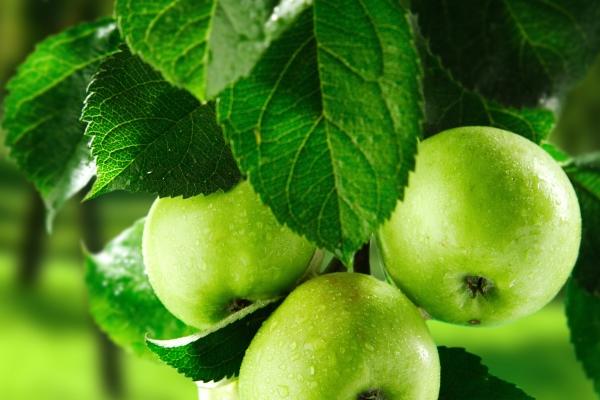 2025年属虎女贵人生肖