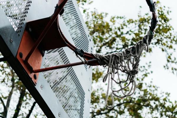 2025年事业最好的生肖