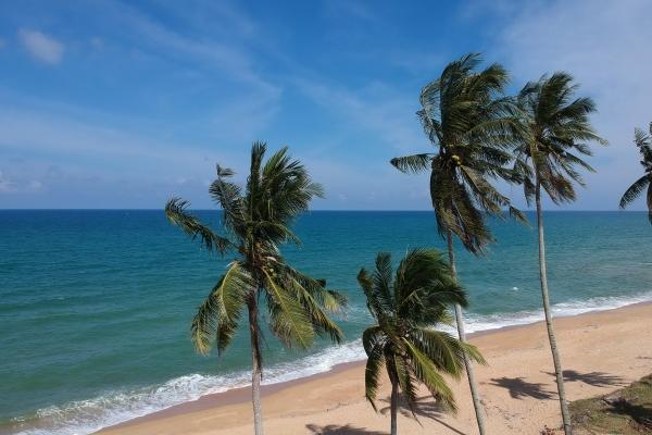 2003年找对象哪年最好