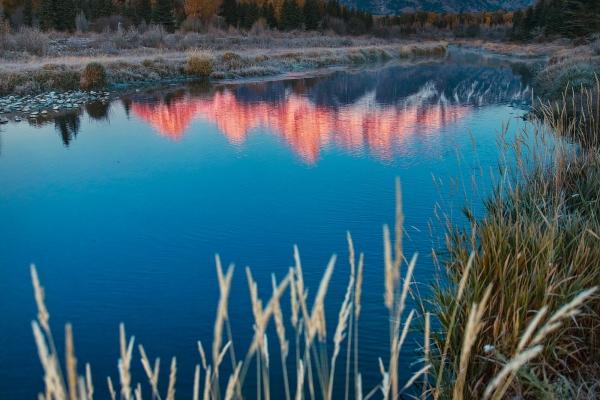 2006年属狗是火命还是土命