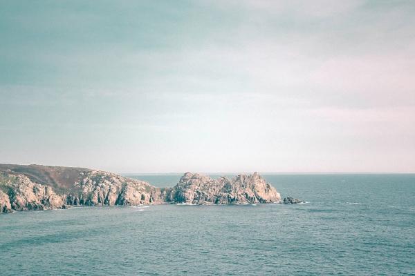 2005年属鸡7月份出生的运势