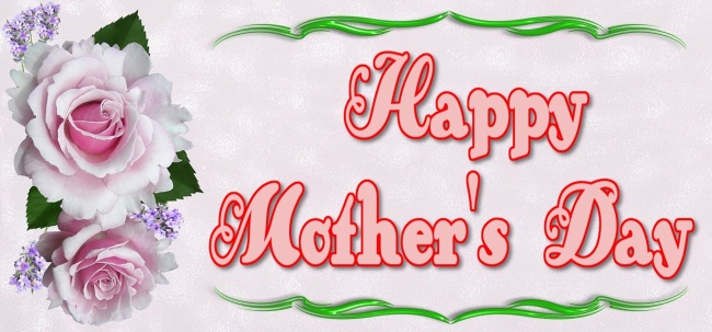 什么生肖最旺2025