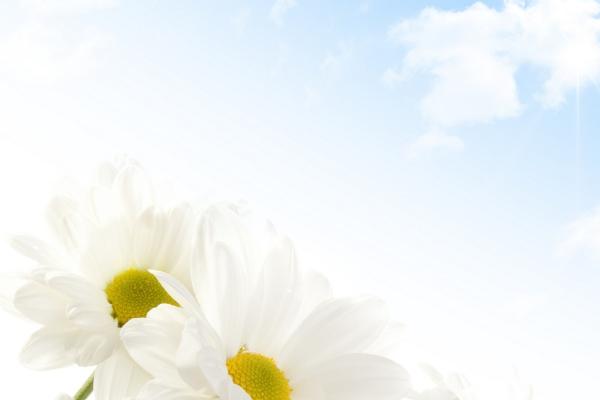 属虎人2025年蛇年运势 属虎人2025年蛇年运势