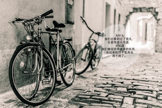 属猴的人2025情劫 属猴的人2025情劫