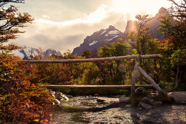 属猴人在2025年运势如何 属猴人在2025年运势如何