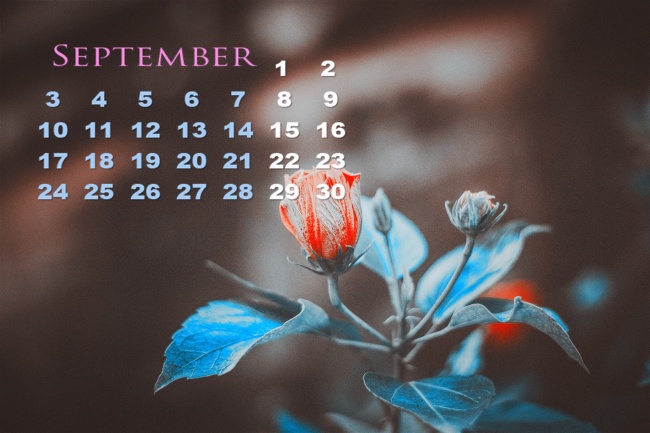 属虎2025年运气如何 属虎2025年运气如何