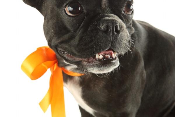 属虎2025年运势 属虎2025年运势