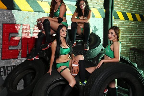 属马的最佳伴侣