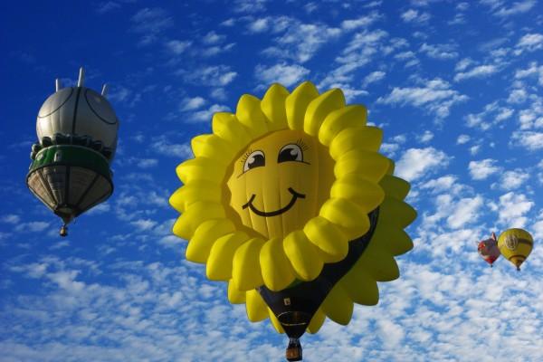 属狗的一生顺不顺利