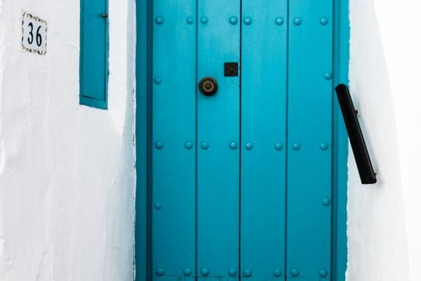 属龙人养什么植物最旺财