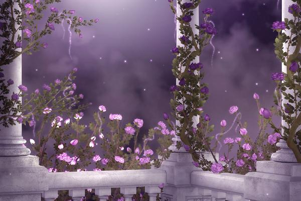 属马的最讨厌什么生肖