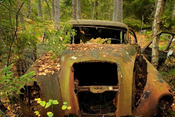 属羊2025年蛇年运势 属羊2025年蛇年运势