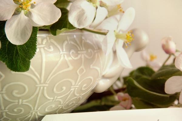 属鼠人2025年每月运势