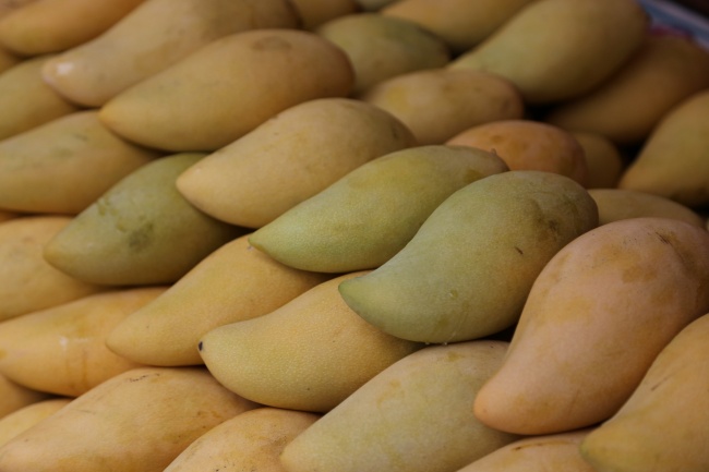 属蛇2025运气怎么样 属蛇2025运气怎么样