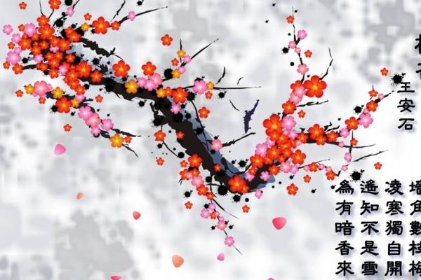 属狗一生运势及运程详解大全