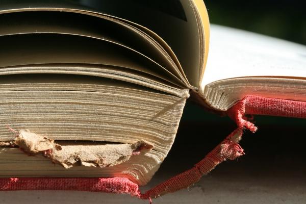 深爱属猪女的生肖男 深爱属猪女的生肖男